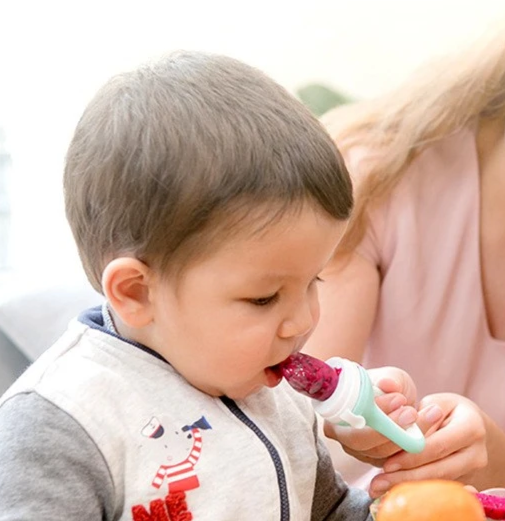 Silicone Baby Fruit Feeder - Fresh & Hard Food Nibbler for Healthy Babies.